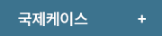 국제케이스